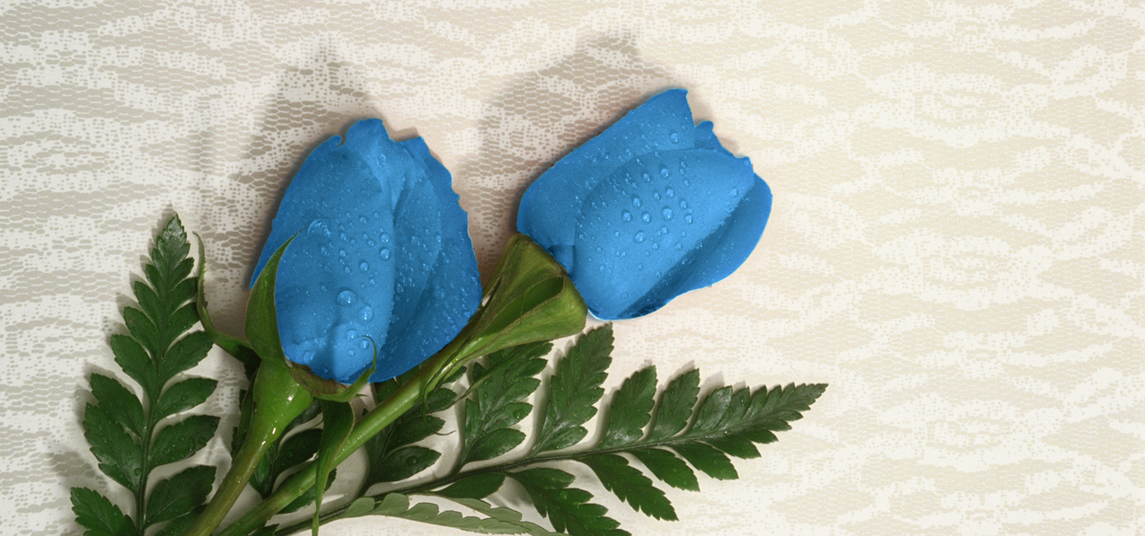 2 Roses Blue